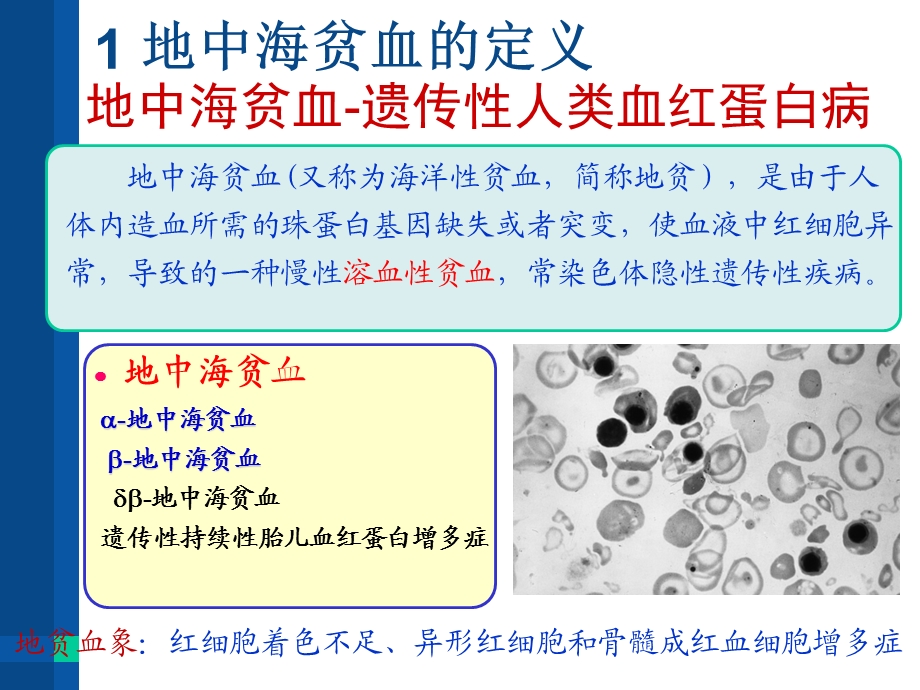 最新：地中海贫血诊治文档资料.pptx_第3页