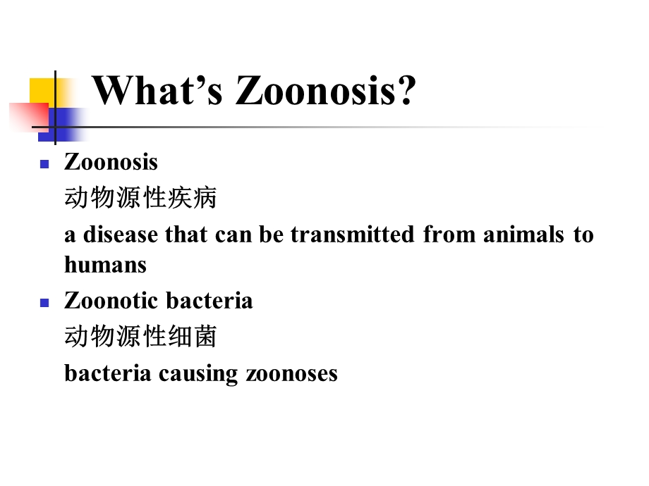 动物源性细菌其他细菌精选文档.ppt_第1页