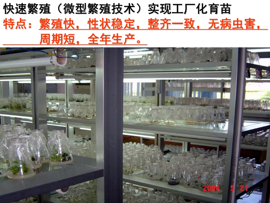 最新植物细胞工程—28PPT文档.ppt_第3页