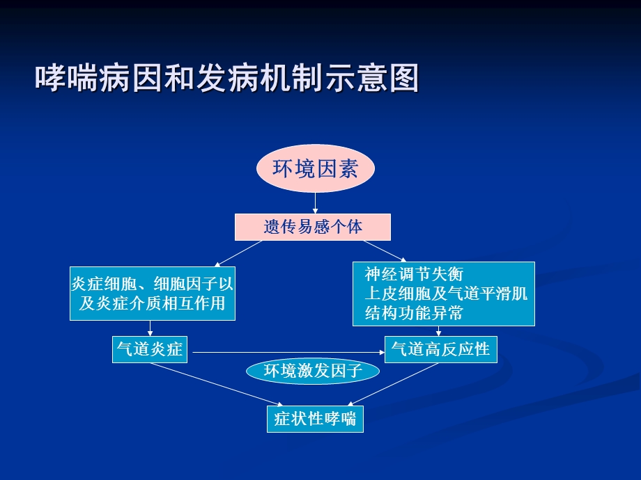 内科护理学支气管哮喘PPT课件.ppt_第3页