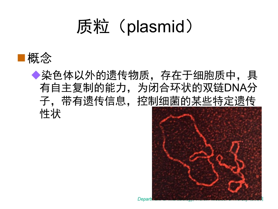 最新微生物学第3章细菌遗传与变异PPT文档.ppt_第3页