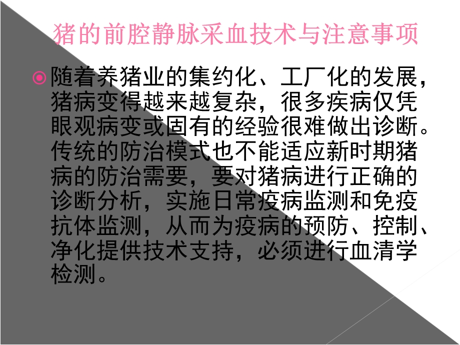 猪的前腔静脉采血技术与注意事项文档资料.ppt_第1页