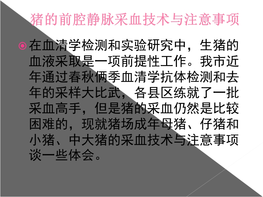 猪的前腔静脉采血技术与注意事项文档资料.ppt_第2页