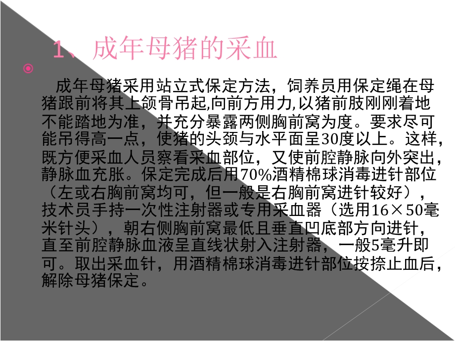 猪的前腔静脉采血技术与注意事项文档资料.ppt_第3页