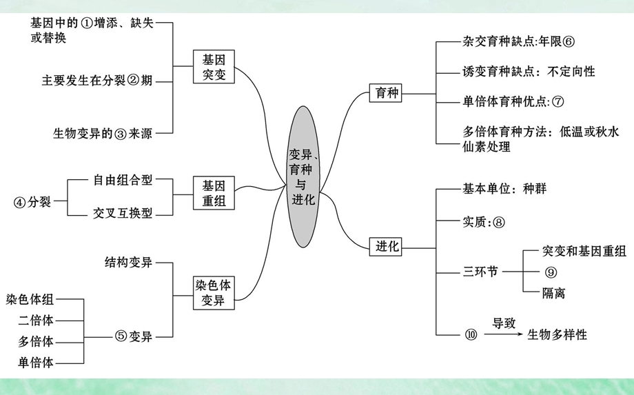 高考生物二轮复习专题七变异育种与进化课件.pptx_第1页