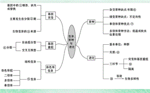 高考生物二轮复习专题七变异育种与进化课件.pptx