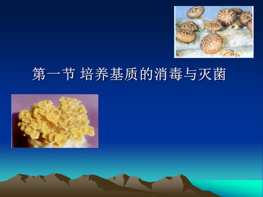 第三章消毒与灭菌名师编辑PPT课件.ppt_第3页