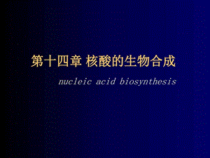 最新生物化学之核酸的生物合成..ppt