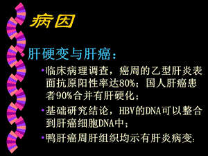 肝脏外科2文档资料.ppt