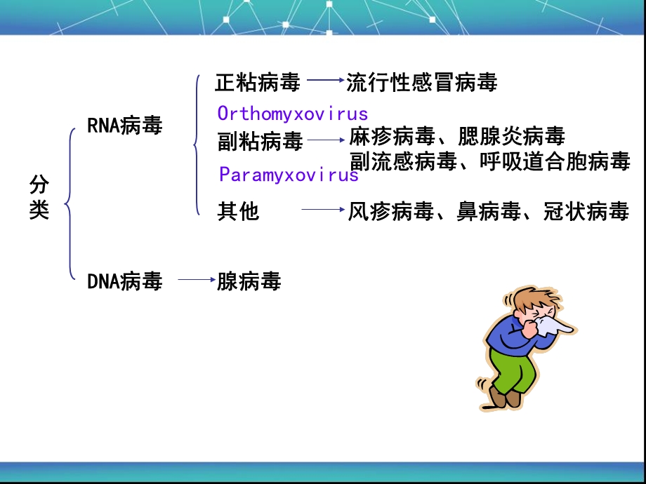 培训资料syh呼吸道病毒精选文档.ppt_第3页