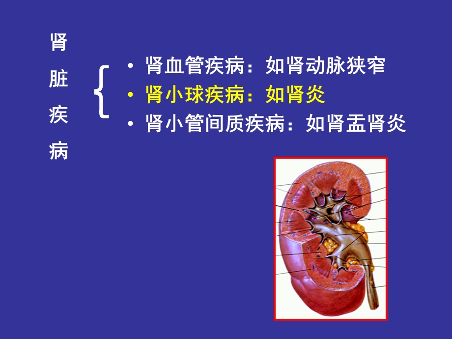 最新：肾小球疾病——中医ppt课件文档资料.ppt_第1页