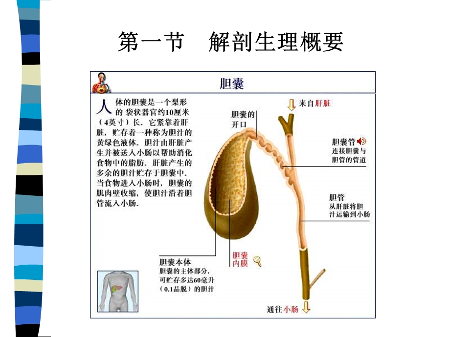 外科护理学文档资料.ppt_第2页