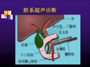 胆道系统疾病超声诊断文档资料.ppt