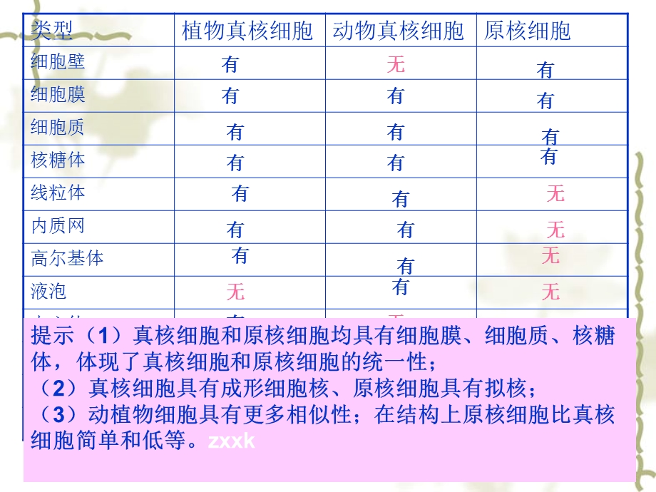 最新：辽宁省抚顺县高级中学高中生物必修一课件1.2 细胞的多样性与统一性文档资料.ppt_第3页