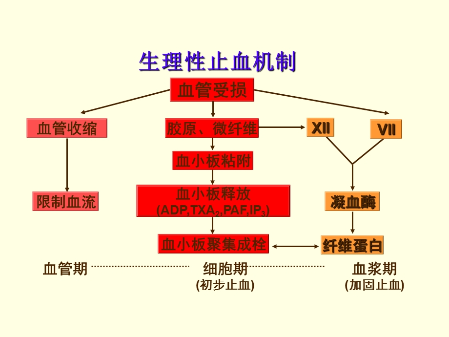 最新护理第三章－血栓和止血实验诊断PPT文档.ppt_第2页