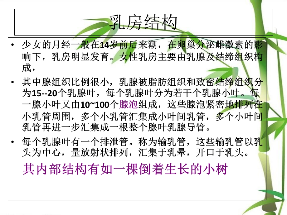 女性保养胸和卵巢文档资料.ppt_第3页