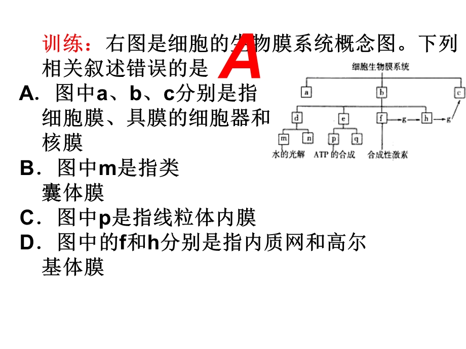 复习二：细胞的基本结构文档资料.ppt_第1页