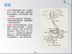 最新：输尿管结石患者的护理查房ppt课件文档资料.ppt