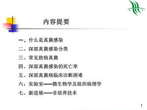 深部真菌感染基础知识文档资料.ppt