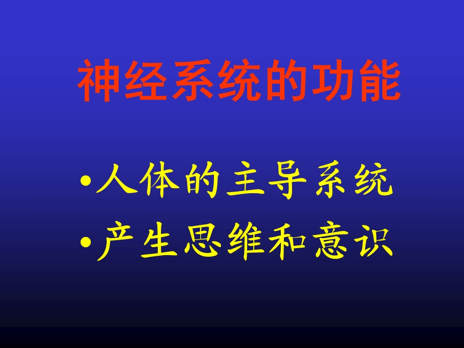 NS概述脊髓PPT文档.ppt_第2页