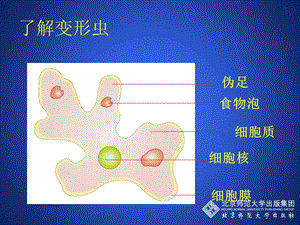 最新：32细胞是生命活动的单位一文档资料精选文档.ppt