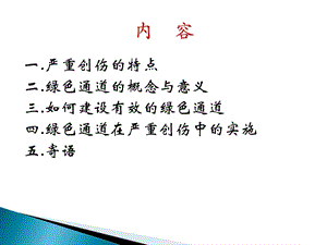 创伤绿色通道的建设ppt课件PPT课件.ppt