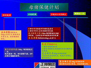 正邦药物保健与常见疾病防治精选文档.ppt