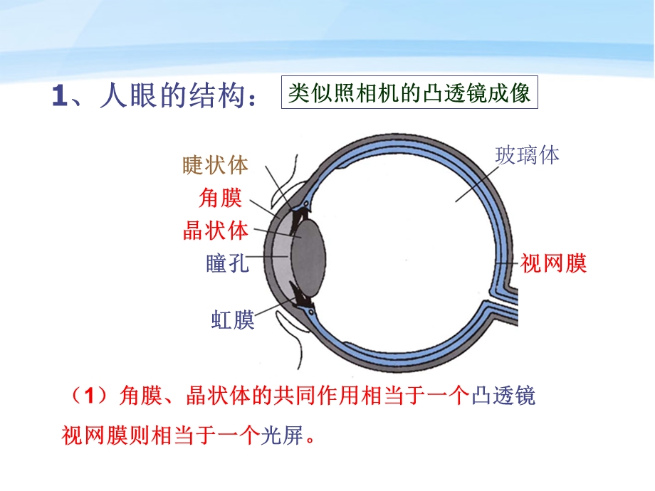 初中物理上册第三章第四节眼睛与眼镜课件人教新课标版.ppt_第2页