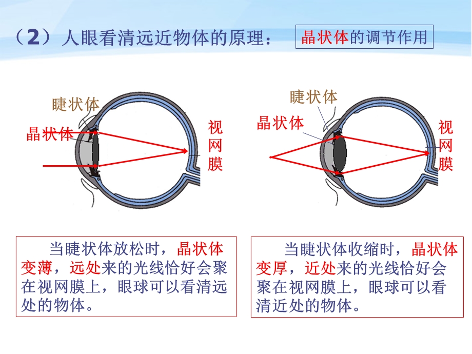 初中物理上册第三章第四节眼睛与眼镜课件人教新课标版.ppt_第3页