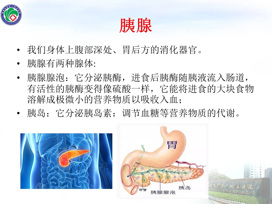 急性胰腺炎健康教育文档资料.pptx_第2页