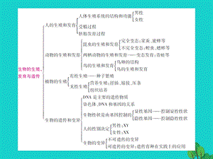 中考生物总复习知能综合突破专题6生物的生殖发育遗传课件新人教版.pptx