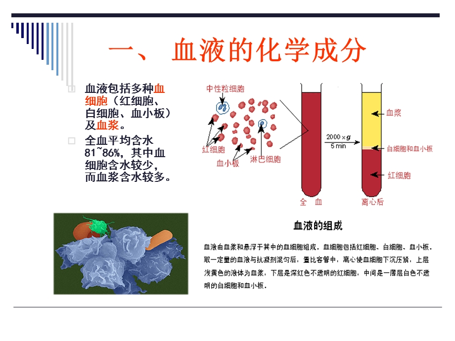 最新：12血液的生物化学精选文档文档资料.ppt_第2页