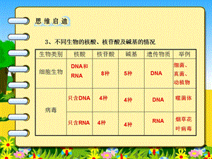 第4节遗传信息的携带者——核酸与细胞中的糖类和脂质文档资料.ppt