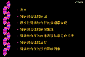 协和肾病综合征文档资料.ppt