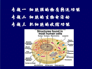 最新：生理学细胞的基本功能文档资料.ppt