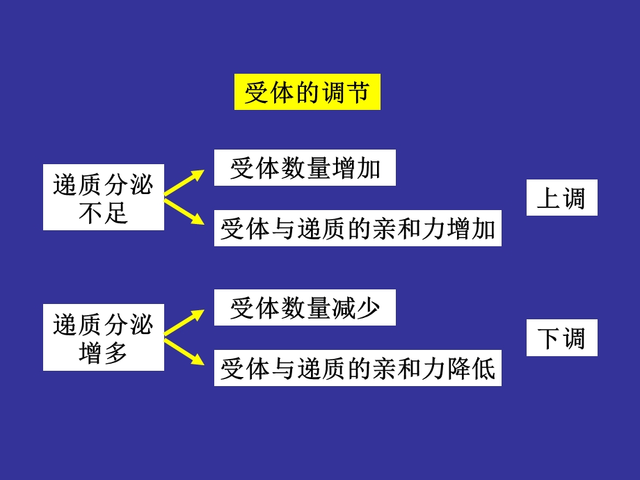 神经生物学神经递质和受体文档资料.ppt_第2页