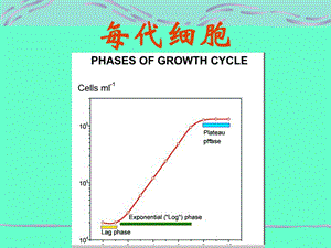 最新2细胞培养技术每代细胞PPT文档.ppt