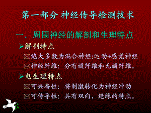 神经传导功能检测在临床的应用文档资料.ppt