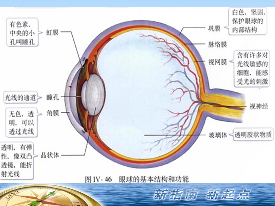 眼科常见病及护眼保健PPT文档.ppt_第1页