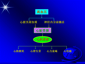 北京版高血压对心脏损害和治疗对策赵连友讲稿PPT文档.ppt