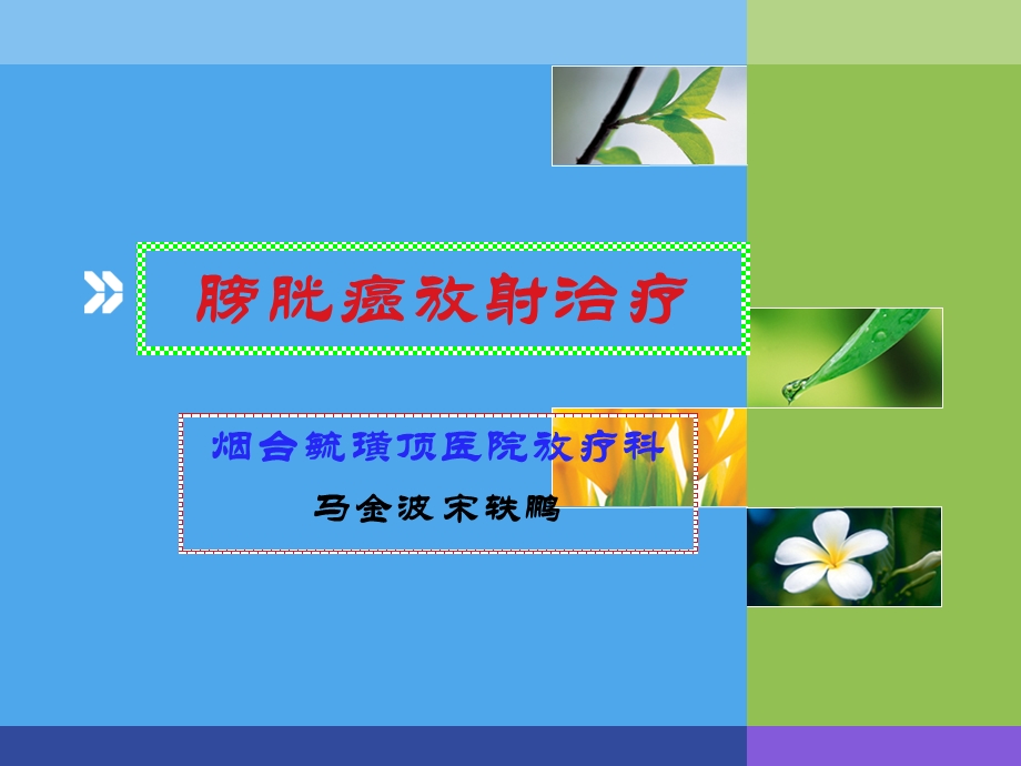 [临床医学]膀胱癌.ppt_第1页