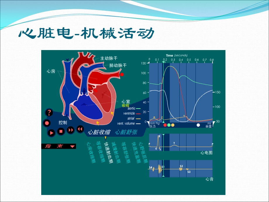 如何阅读儿童心电图文档资料.ppt_第1页