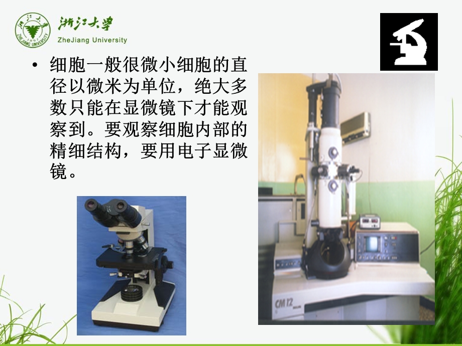 2细胞结构全PPT课件.ppt_第2页