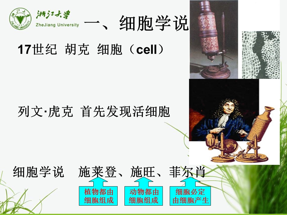 2细胞结构全PPT课件.ppt_第3页