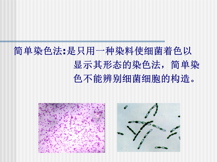 实验二显微镜油镜的使用及细菌的简单染色法1PPT课件.ppt_第3页