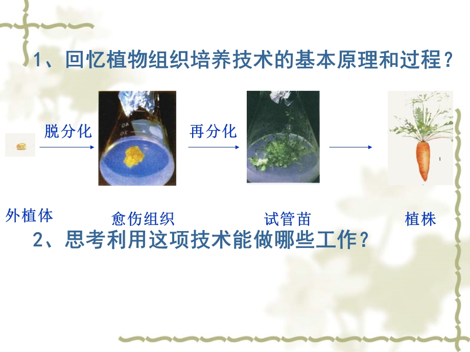 最新植物细胞工程的实际应用课件PPT文档.ppt_第1页