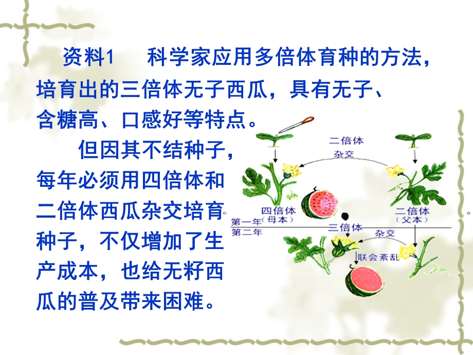 最新植物细胞工程的实际应用课件PPT文档.ppt_第2页