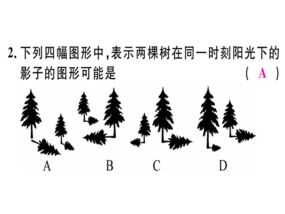 九年级数学湘教版下册课件：3.1投影 (共13张PPT).ppt_第3页