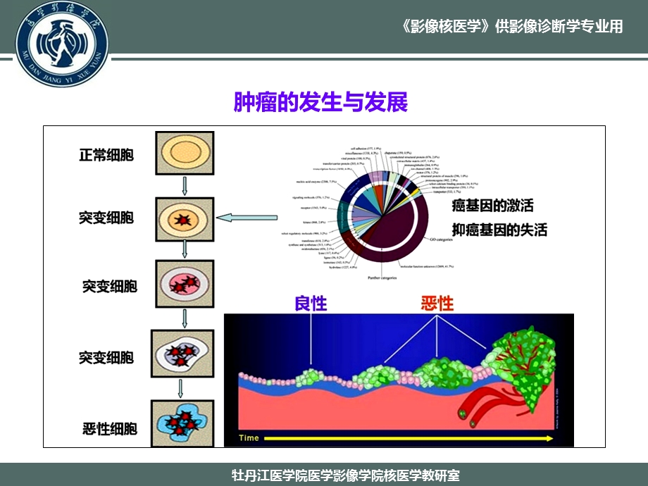 最新：肿瘤与炎症系统的案例课件 .10文档资料.ppt_第1页