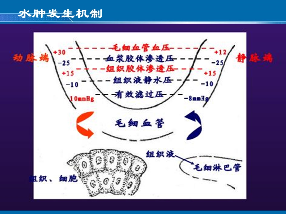 最新护理评估第四章节PPT文档.ppt_第3页